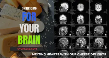 Cheese and Brain Health: What's the Connection?