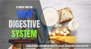 Cheese and Digestion: Friend or Foe?