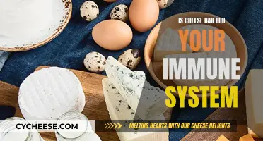 Cheese and Immunity: What's the Connection?