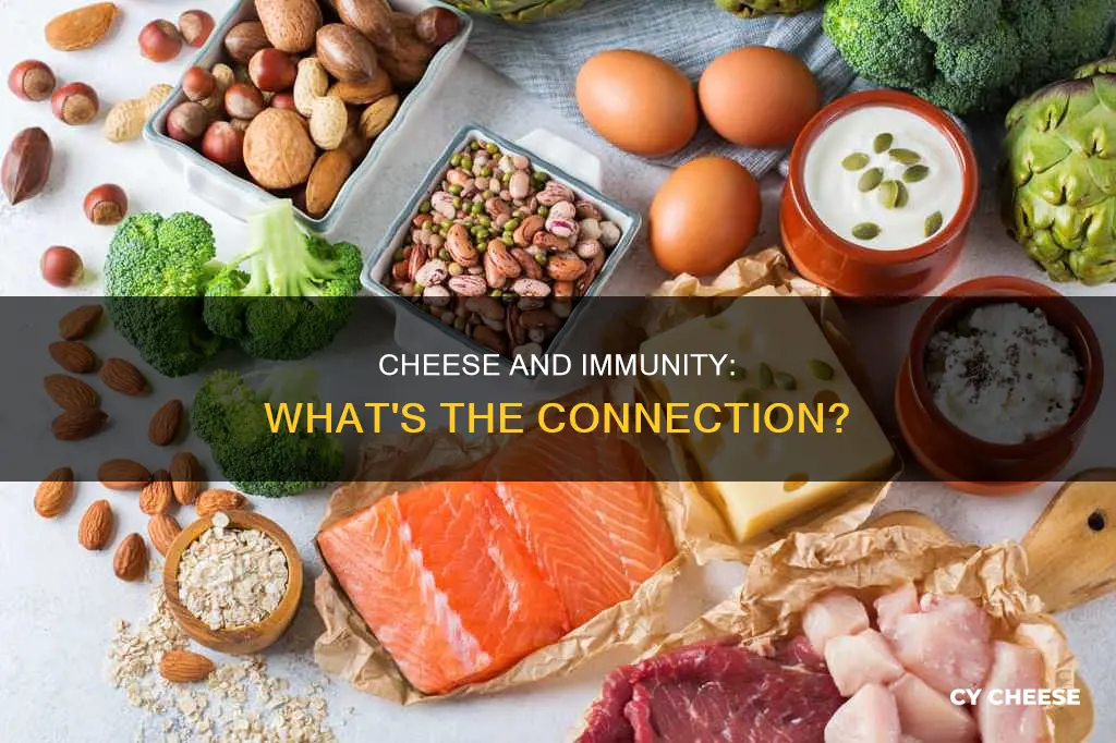 is cheese bad for your immune system