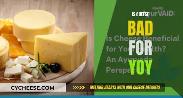 Cheese: Healthy or Harmful?