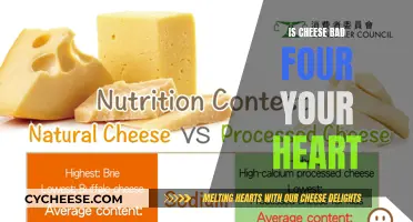 Cheese and Heart Health: What's the Real Story?
