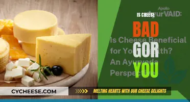Cheese: Healthy or Harmful?