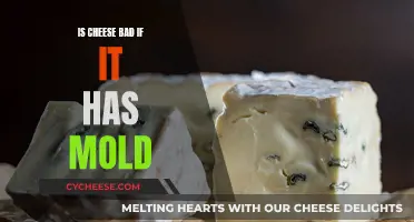 Cheese and Mold: When to Be Concerned