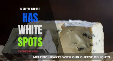 Cheese With White Spots: Safe or Not?