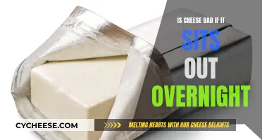 Cheese Left Out Overnight: Safe or Not?