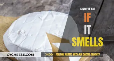 Cheese: When a Stinky Smell is Good