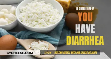Cheese and Diarrhea: What You Need to Know