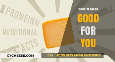 Cheese: Nutritional Benefits vs. Health Concerns – What’s the Truth?