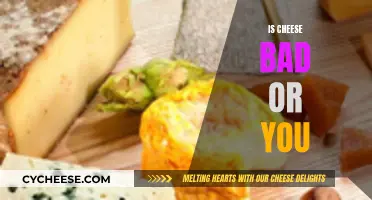 Cheese: Friend or Foe?