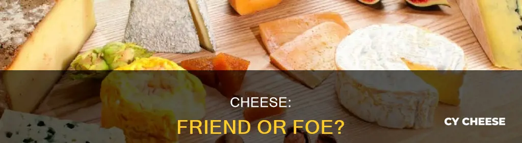 is cheese bad or you