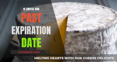 Cheese Expiration: Is It Still Good to Eat?