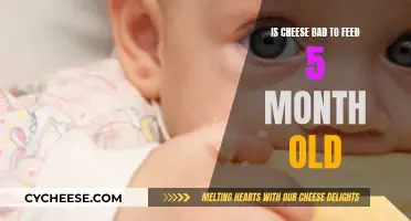 Cheese for Babies: Is it Safe?