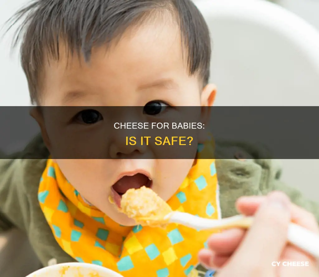 is cheese bad to feed 5 month old
