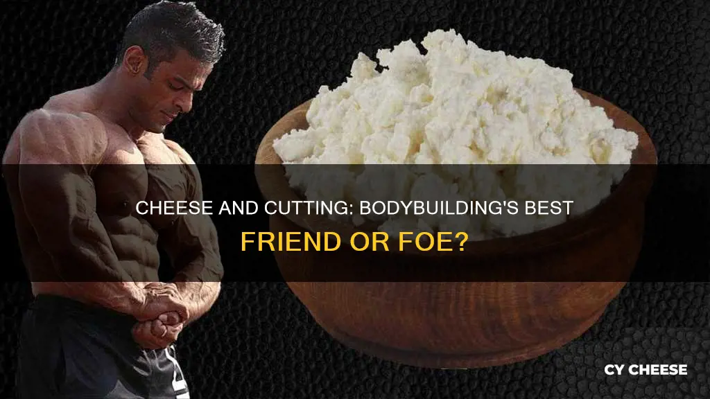 is cheese bad when cutting for bodybuilding