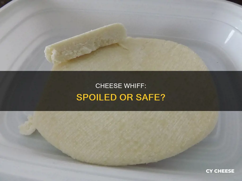 is cheese bad when it smells like spoiled milk