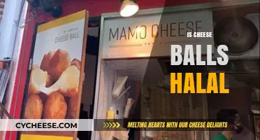 Are Cheese Balls Halal? Exploring Ingredients and Certification