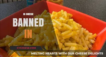 Is Cheese Banned in Certain Countries? Surprising Facts Revealed