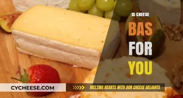 Is Cheese Bad for You? Unraveling the Health Myths and Facts