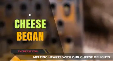 Unraveling the Origins: Did Cheese Begin by Accident or Design?