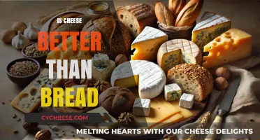 Cheese vs. Bread: Which Staple Reigns Supreme in Taste and Nutrition?