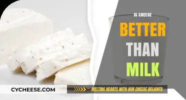 Cheese vs. Milk: Which Dairy Delight Reigns Supreme?
