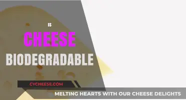 Is Cheese Biodegradable? Exploring Its Environmental Impact and Breakdown