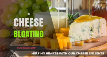 Is Cheese Causing Your Bloating? Uncovering the Truth Behind Dairy Discomfort