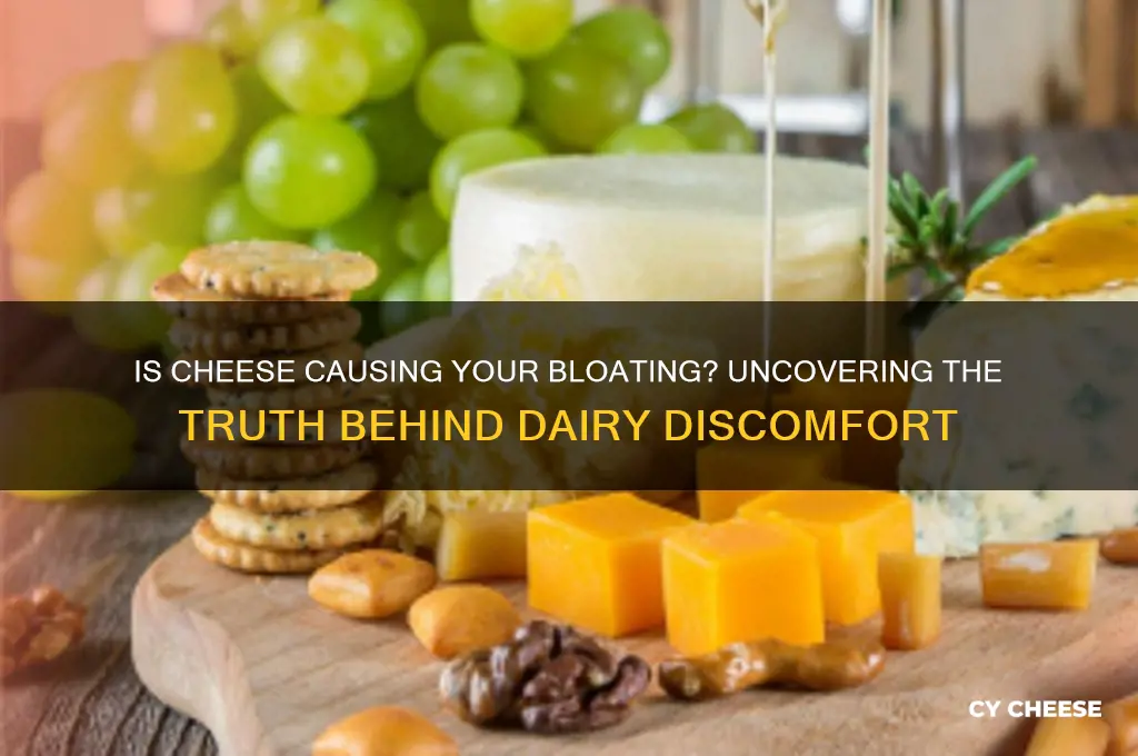 is cheese bloating