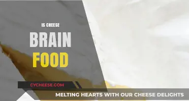 Cheese and Brain Health: Unraveling the Cognitive Benefits of Dairy