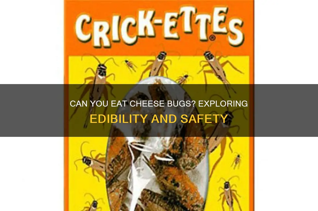 is cheese bug edible