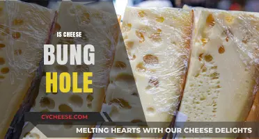 Is Cheese Bung Hole a Myth or Culinary Reality?