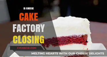 Is Cheesecake Factory Closing? Debunking Rumors and Future Plans