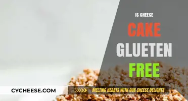 Cheese Cake: Gluten-Free Indulgence