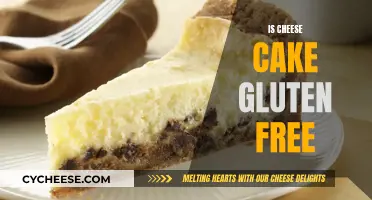 Cheese Cake: Gluten-Free Indulgence