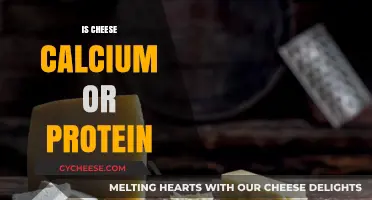 Cheese Nutrition: Calcium vs. Protein – Which Dominates Your Slice?