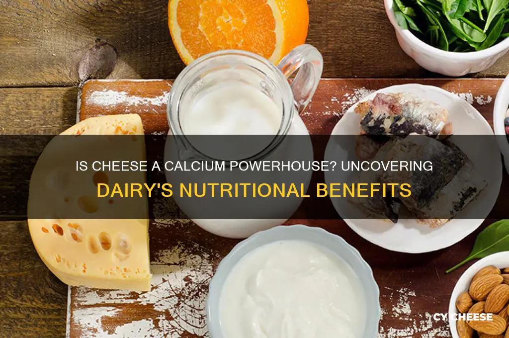 is cheese calcium rich
