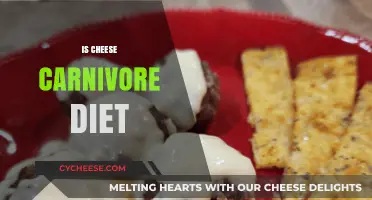 Is Cheese Allowed on the Carnivore Diet? A Comprehensive Guide