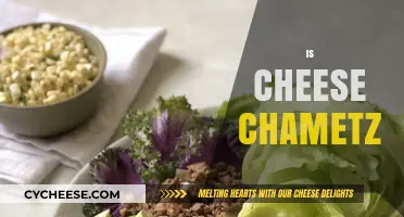 Is Cheese Chametz? Exploring Passover Dietary Laws and Dairy