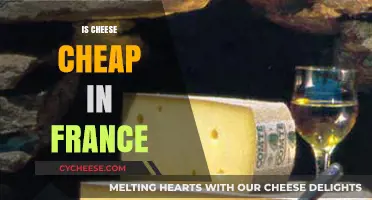 Is Cheese Affordable in France? Exploring Costs and Quality