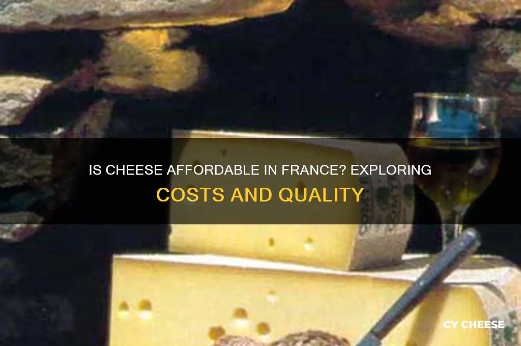 is cheese cheap in france