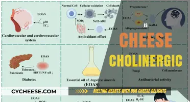 Is Cheese Cholinergic? Unraveling the Science Behind Dairy and Acetylcholine