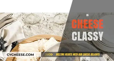 Is Cheese Classy? Exploring the Sophistication of Dairy Delights