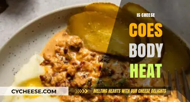 Does Cheese Affect Body Heat? Exploring the Surprising Connection