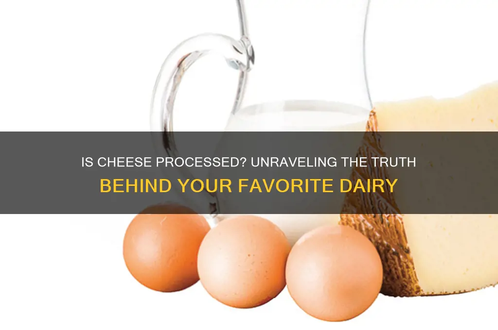 is cheese concidered processed