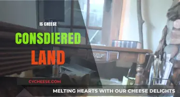 Is Cheese Considered Land? Exploring the Dairy-Terrain Debate