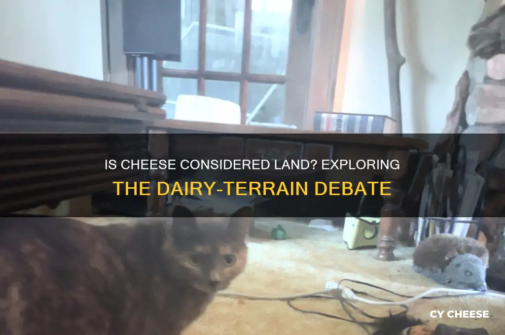 is cheese consdiered land