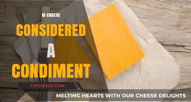 Is Cheese a Condiment? Exploring Its Culinary Classification and Uses