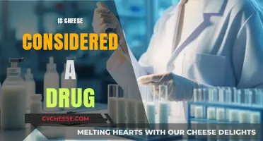 Is Cheese a Drug? Exploring Its Addictive Properties and Science