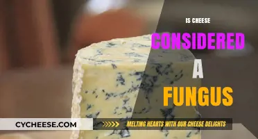 Is Cheese a Fungus? Unraveling the Dairy-Fungi Connection